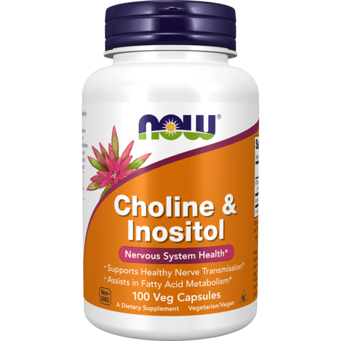 NOW Foods Choline & Inositol - 100 Veg Capsules