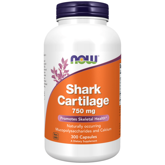 NOW Foods Shark Cartilage 750 mg - 300 Capsules