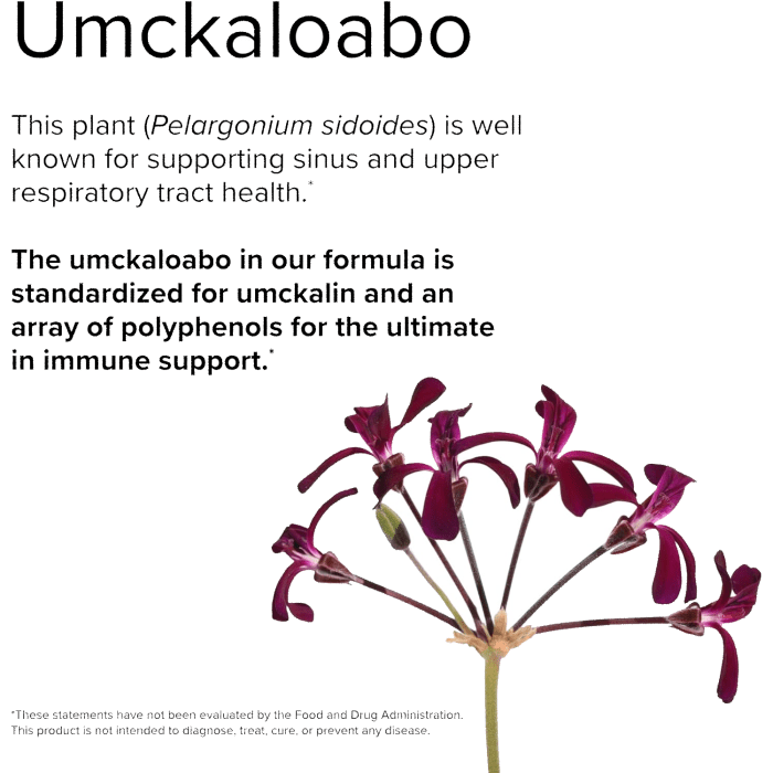 Terry Naturally Andrographis EP80 with Umckaloabo, 60 Capsules