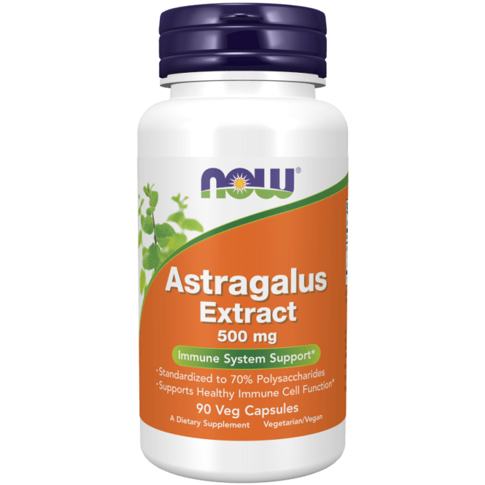 NOW Foods Astragalus Extract 500 mg - 90 Veg Capsules