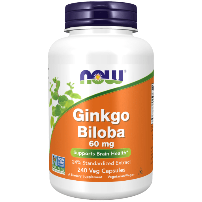 NOW Foods Ginkgo Biloba 60 mg - 240 Veg Capsules