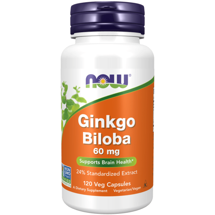 NOW Foods Ginkgo Biloba 60 mg - 120 Veg Capsules