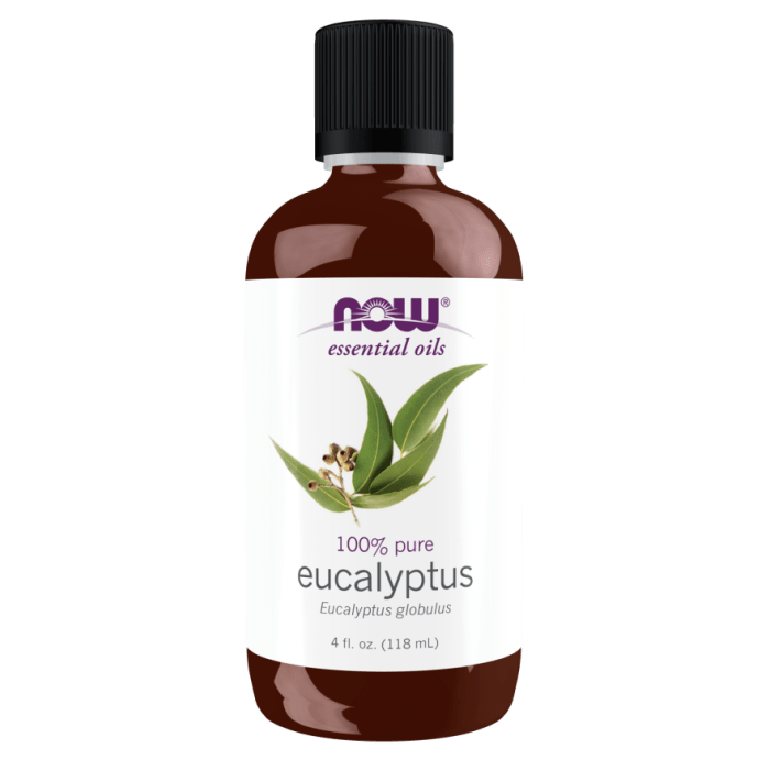 NOW Foods Eucalyptus Globulus Oil - 4 fl. oz.