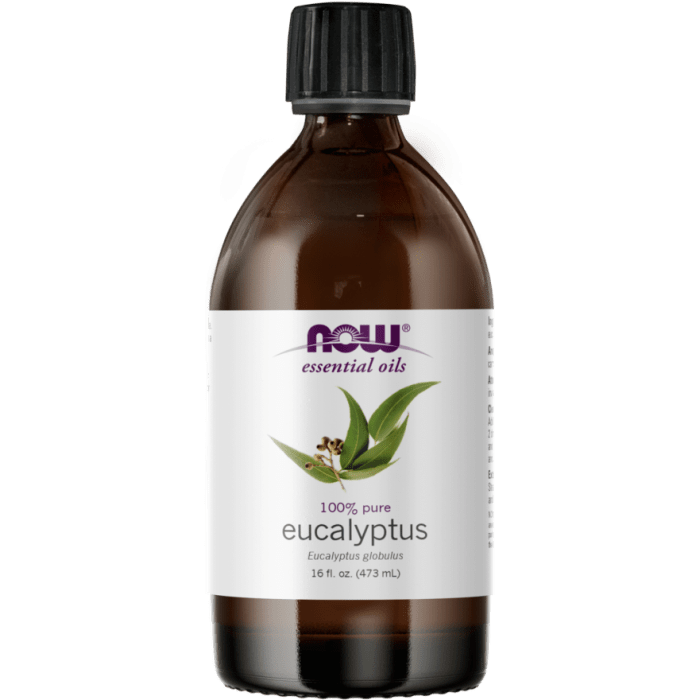 NOW Foods Eucalyptus Globulus Oil - 16 fl. oz.