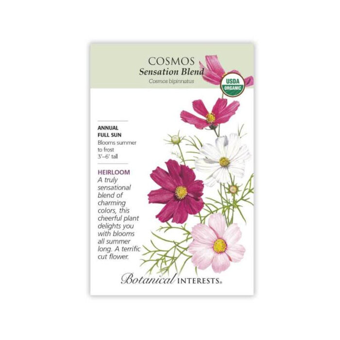 Botanical Interests Cosmos Sensation Blend, 1 packet