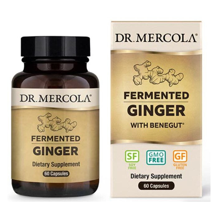 Dr. Mercola Fermented Ginger, 60 Capsules