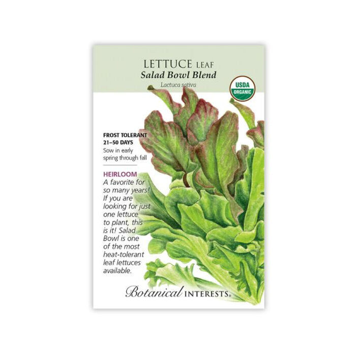 Botanical Interests Organic Lettuce Leaf Salad Bowl, 1 packet