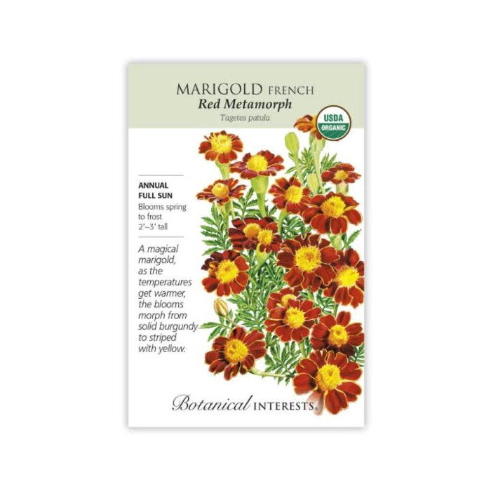 Botanical Interests Organic Marigold French Metamorph, 1 packet