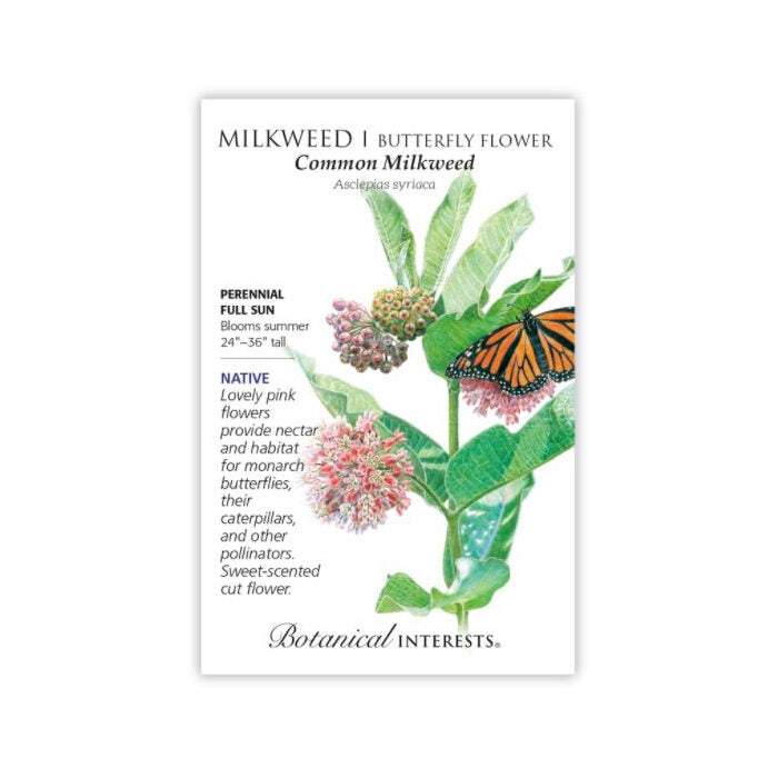 Botanical Interests Organic Milkweed Common, 1 packet