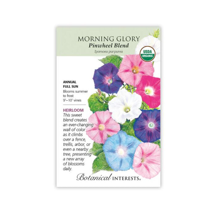 Botanical Interests Organic Morning Glory Pinwheel Blend, 1 packet