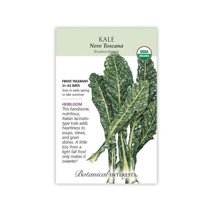 Botanical Interests Organic Nero Toscana Kale, 1 Large Packet