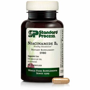 Niacinamide B6, 90 Capsules, by Standard Process