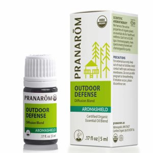 Outdoor Defense Diffusion Blend, by Pranarom